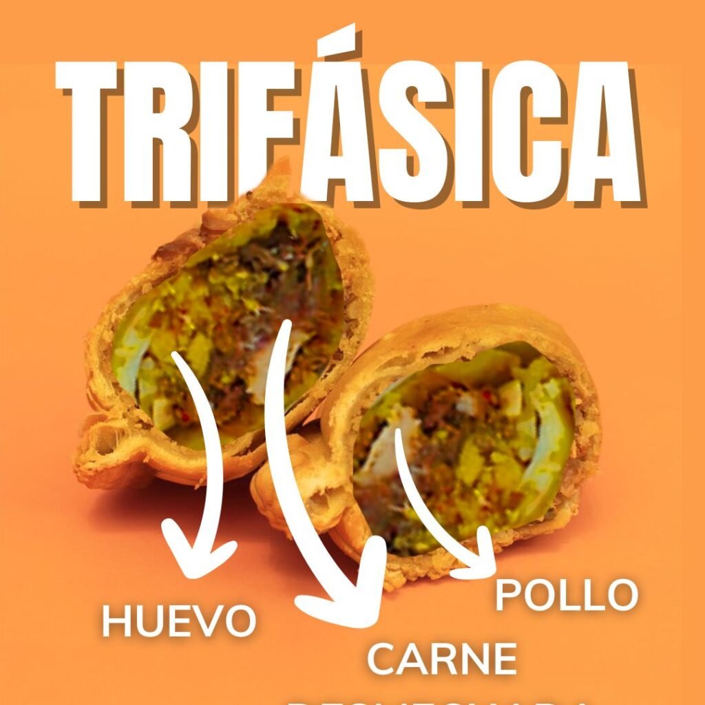 empanada trifasica